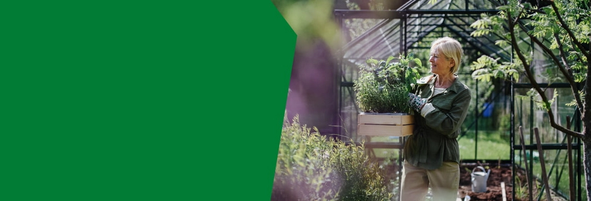 Person hält eine Holzkiste mit Kräutern in einem Gewächshaus.